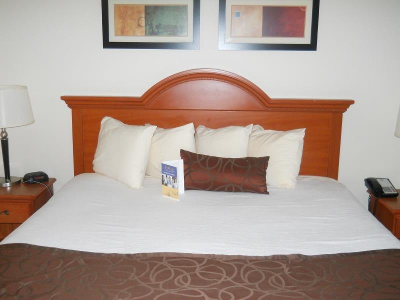 Best Western Windsor Inn And Suites Данвил Екстериор снимка